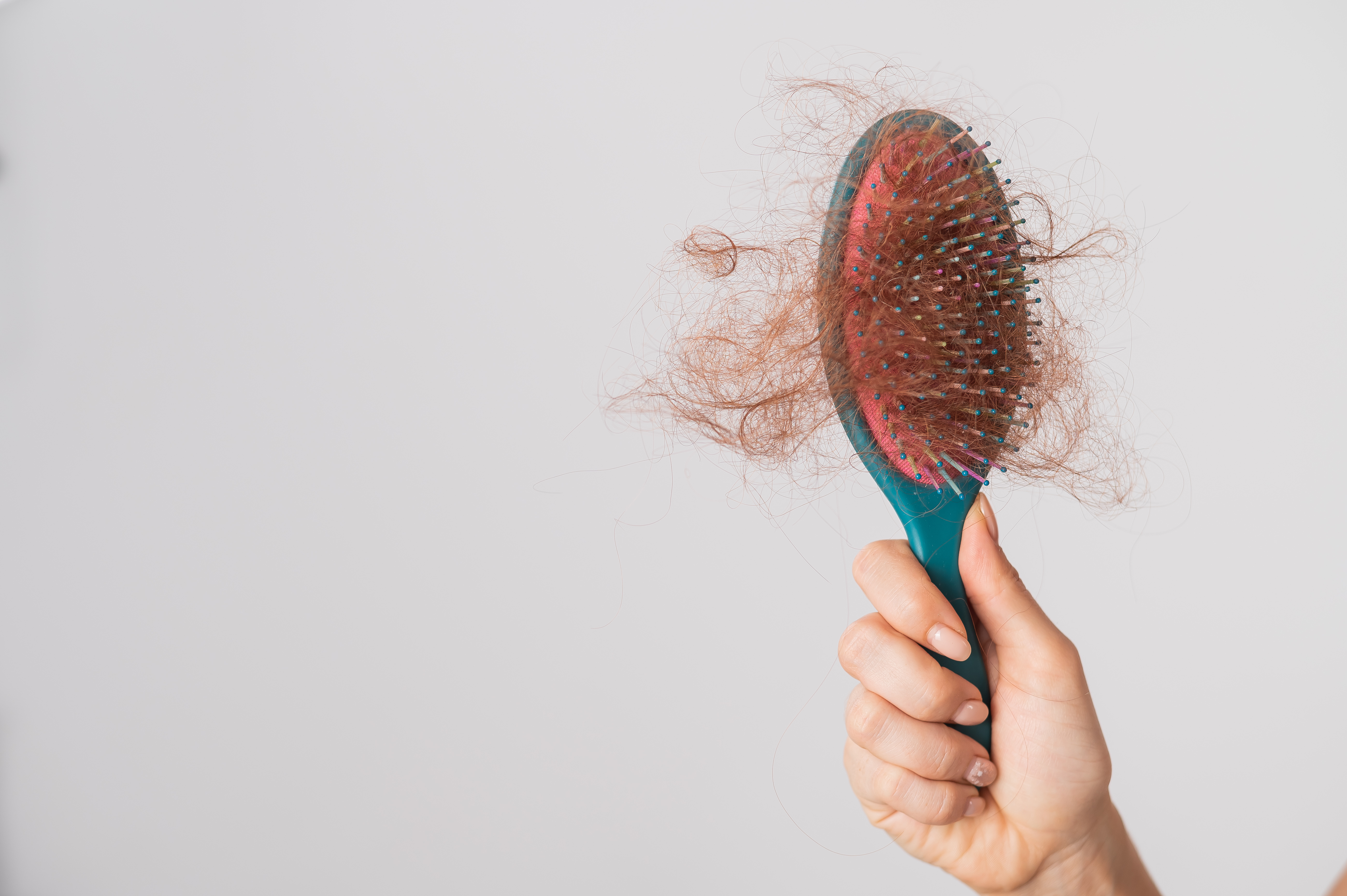 hair fall as seen on a brush