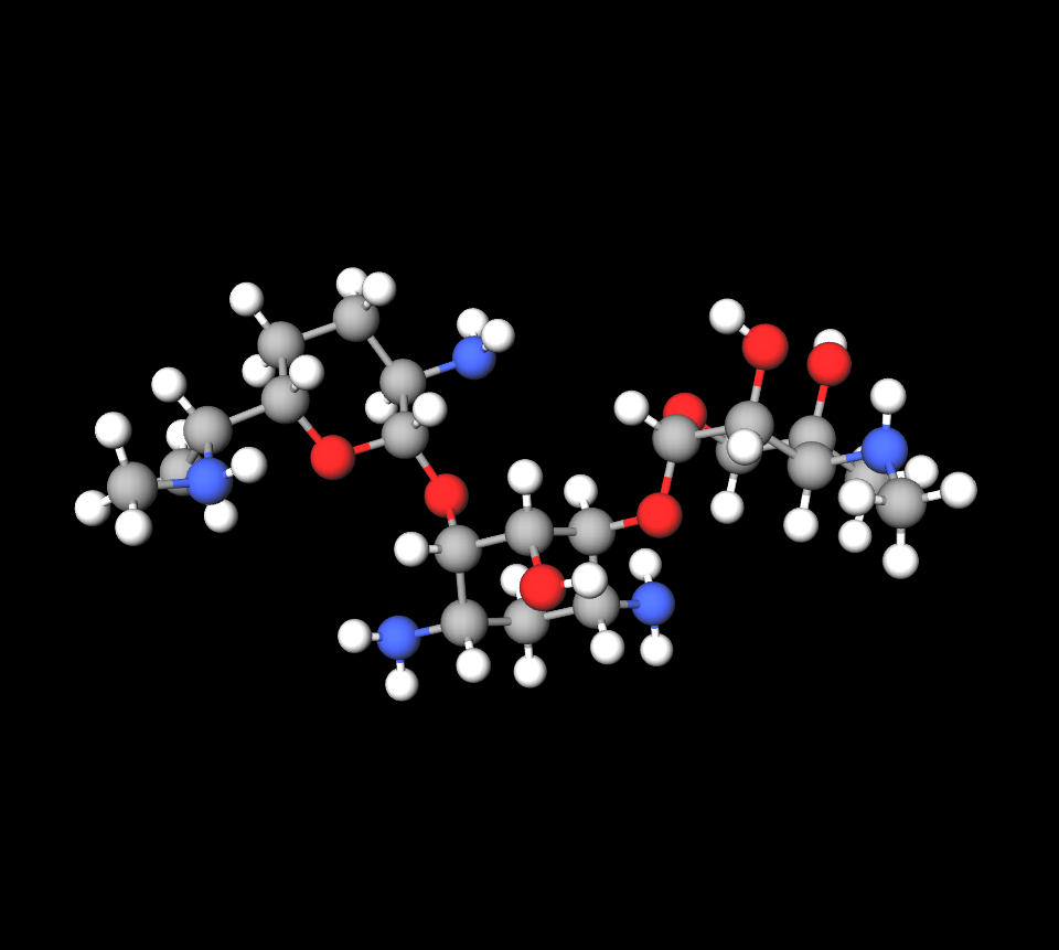 Gentamicin molecule