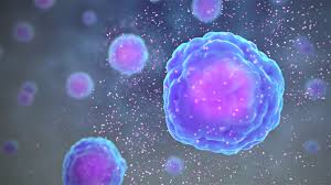 cytokine cells