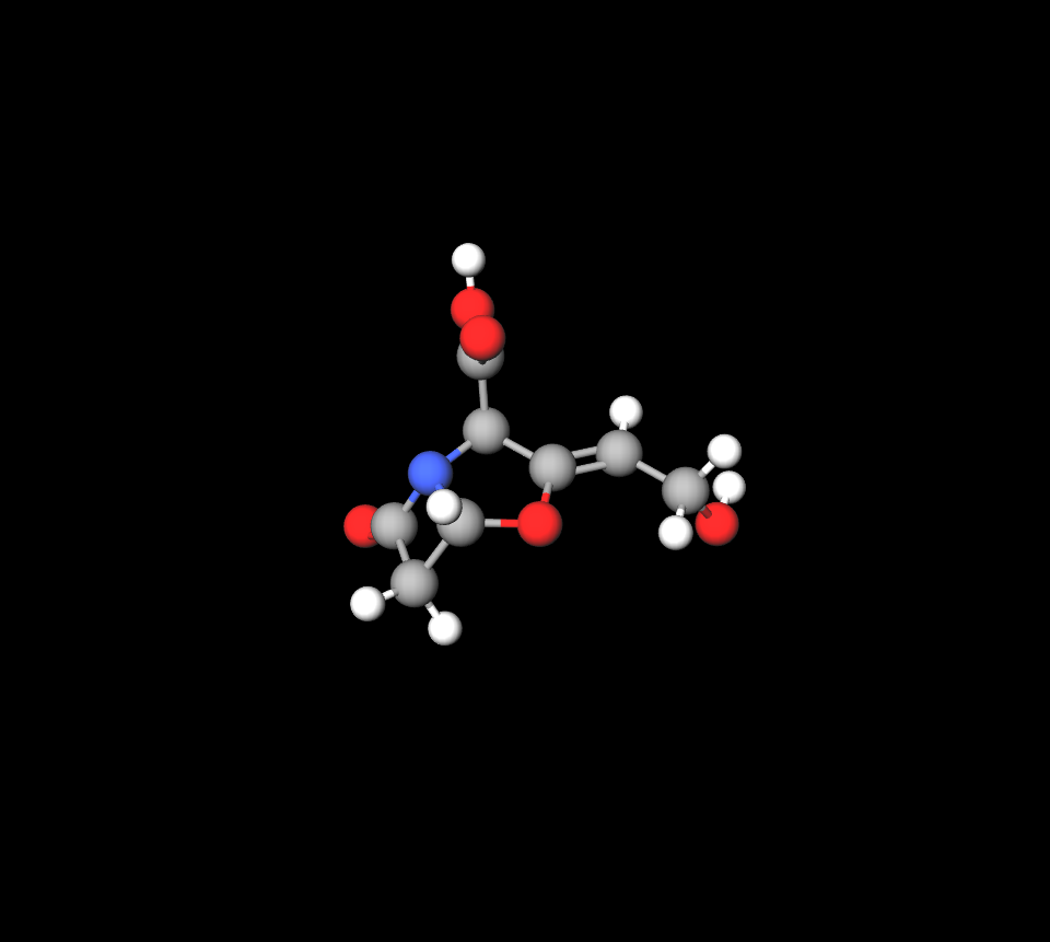 Clavulanic Acid