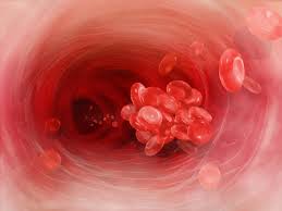 blood clot in the vein