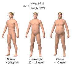 obesity stages