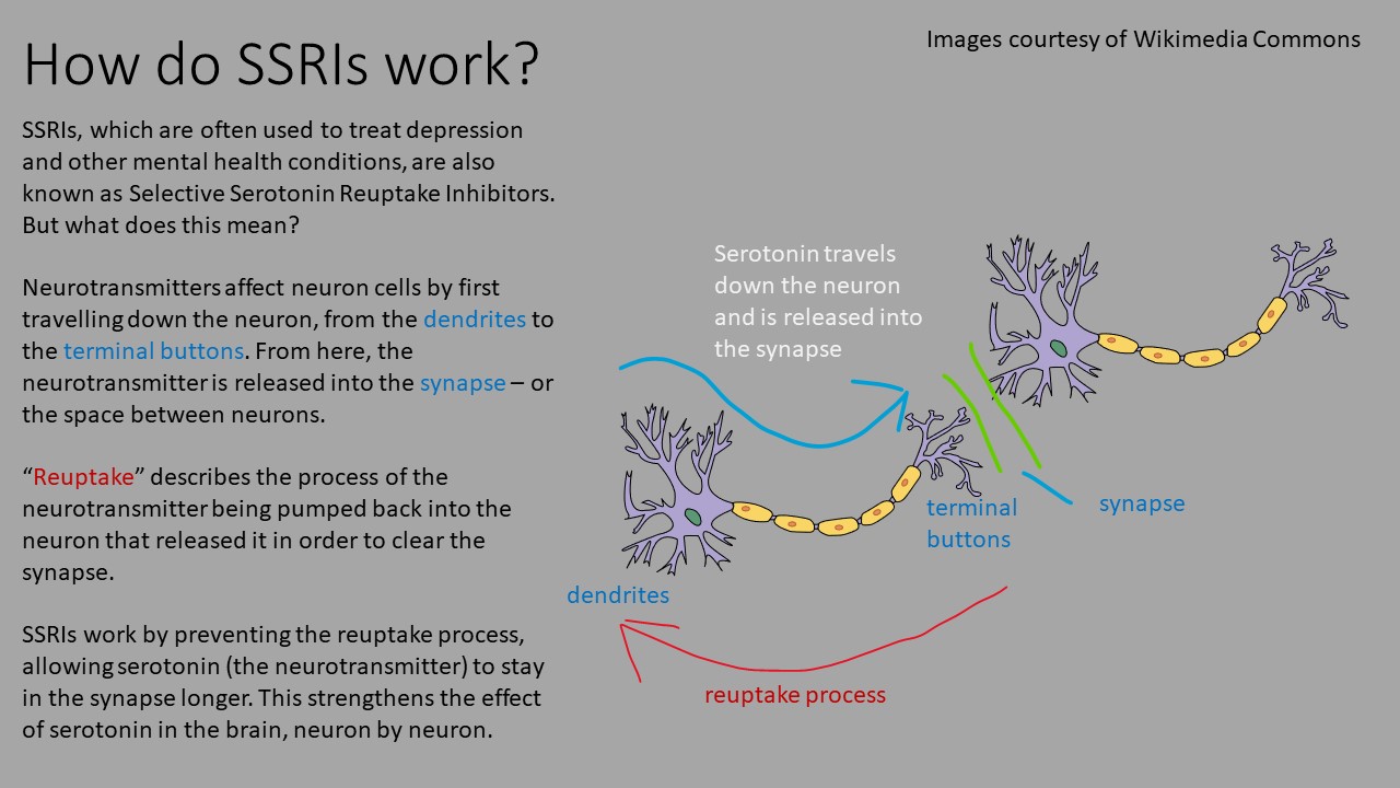 Selective serotonin reuptake inhibitor