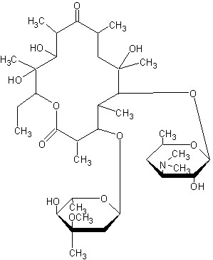 Erythromycin