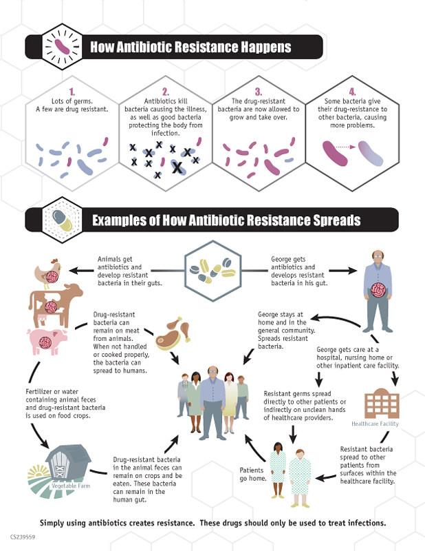 Antibiotic Resistance