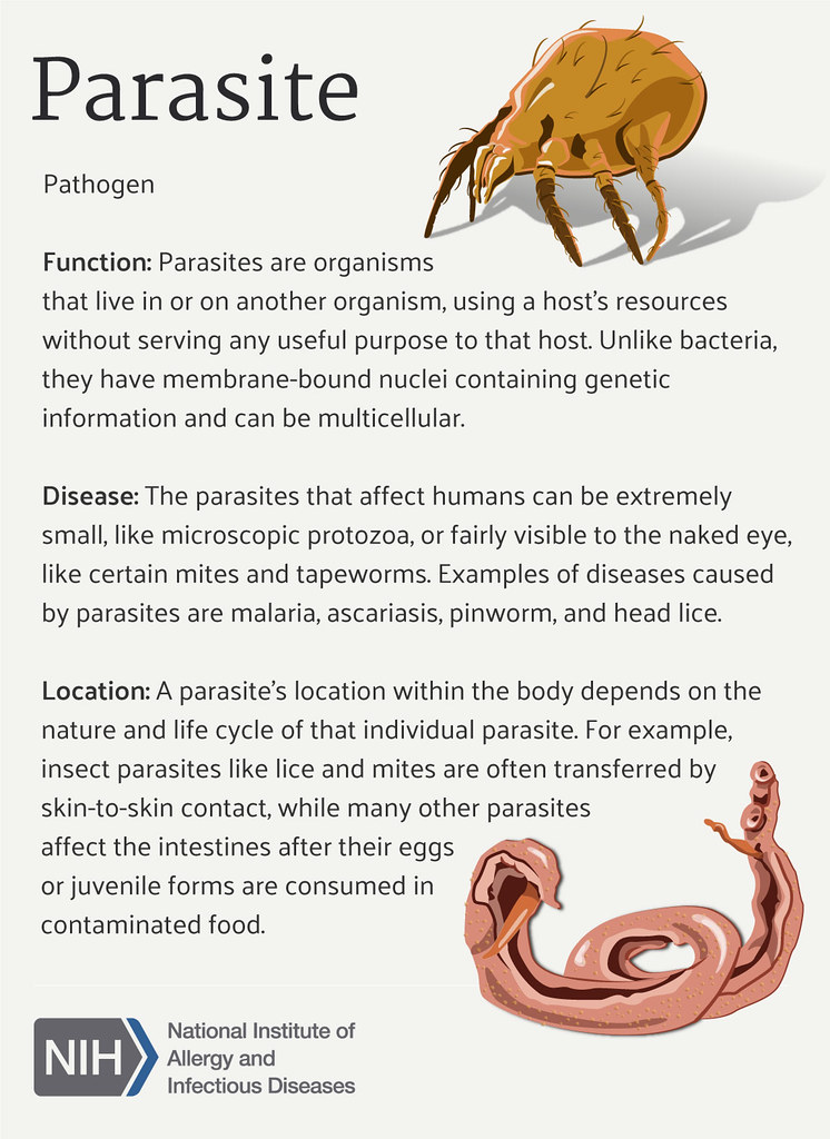 Parasitic infections