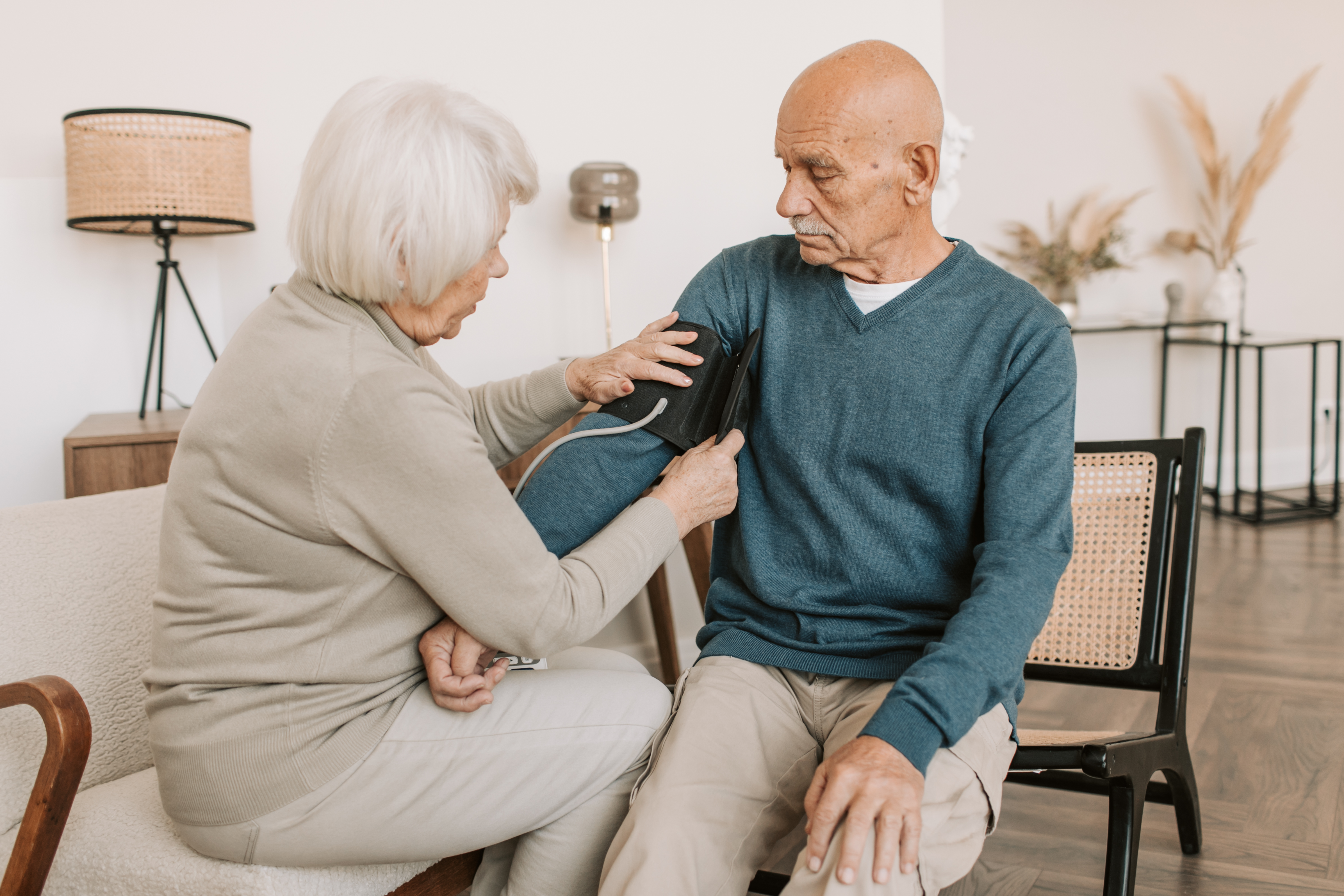 Caring for the Elderly