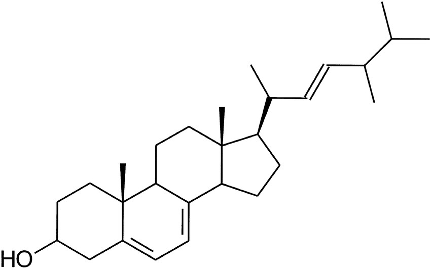 ergosterol