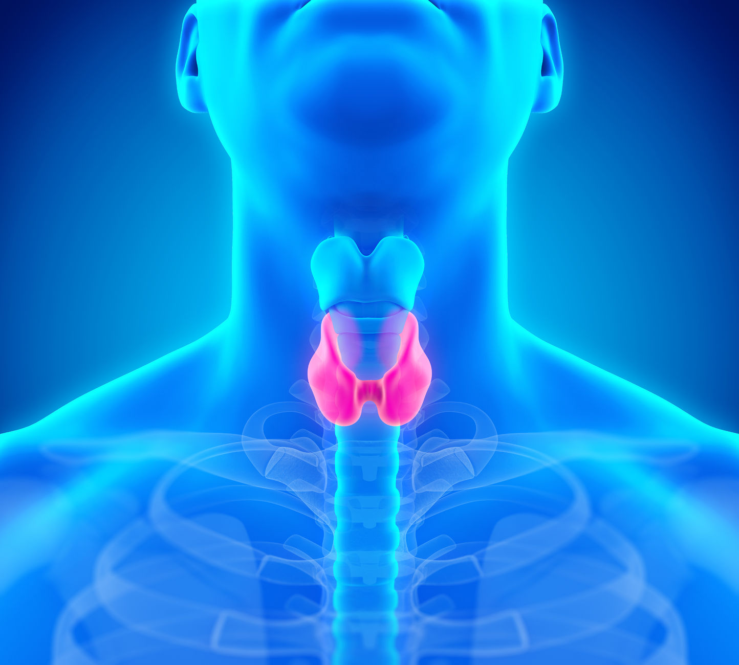 Thyroid