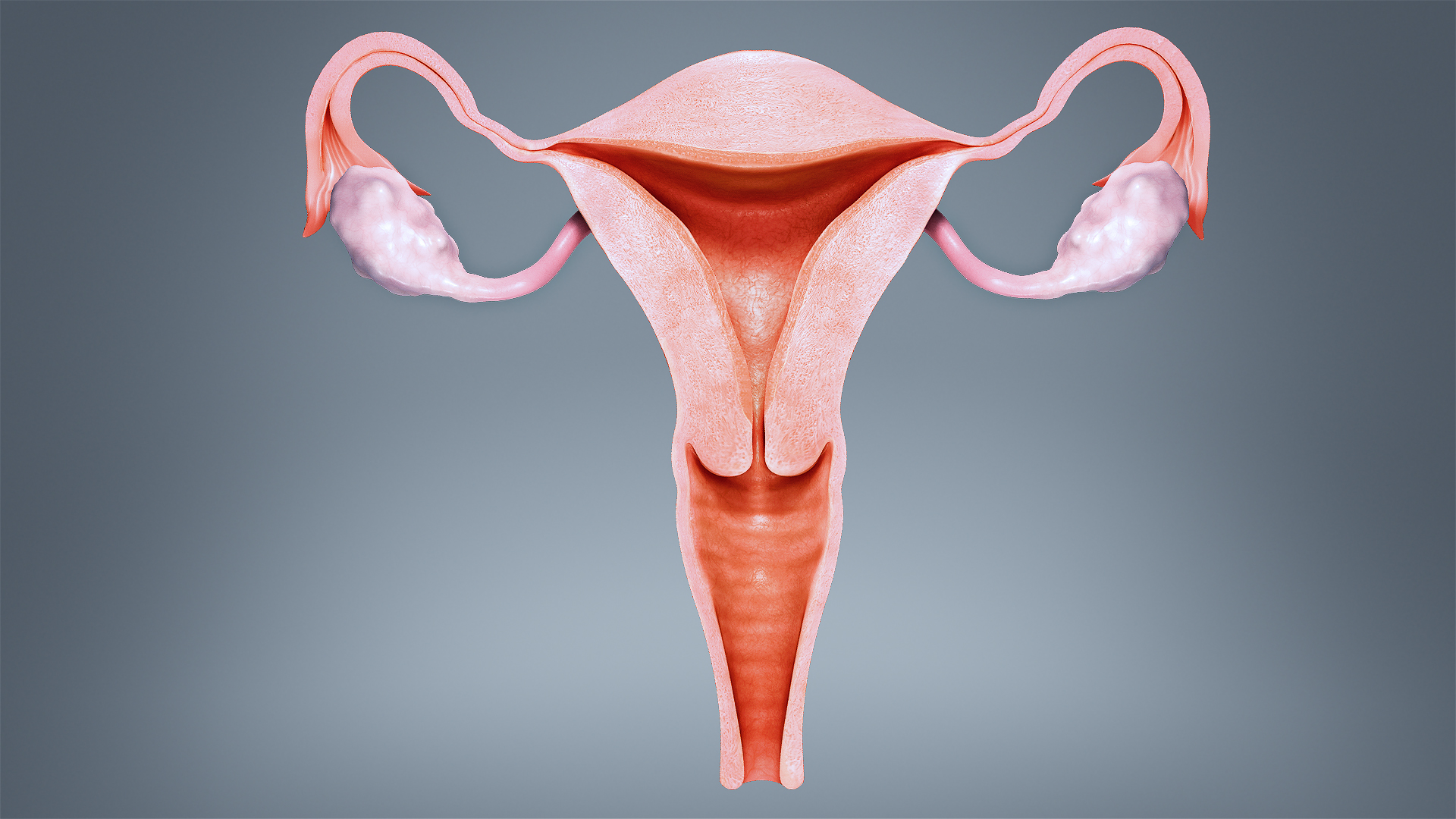 Allylestrenol in pregnancy