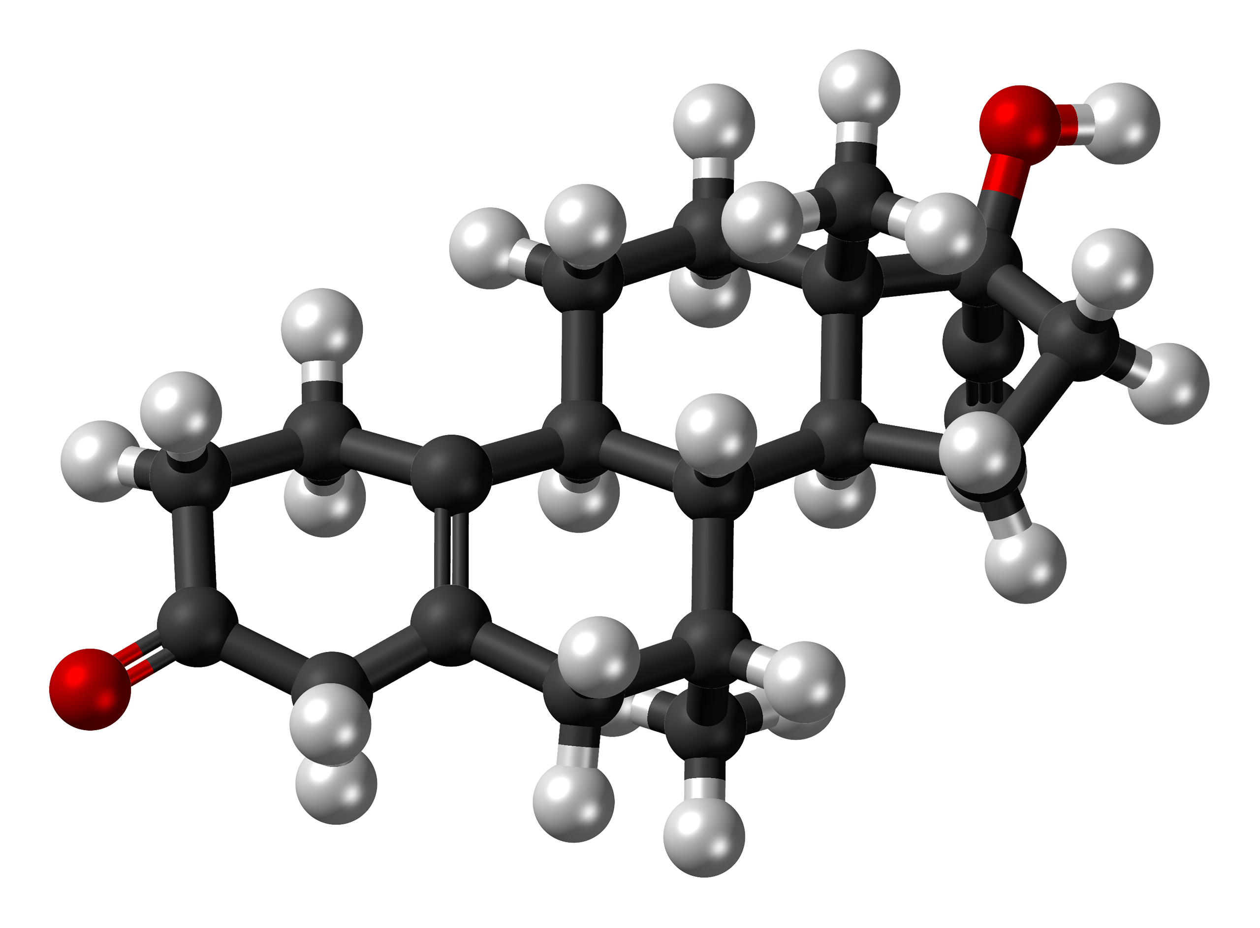 Tibolone Molecule Structure