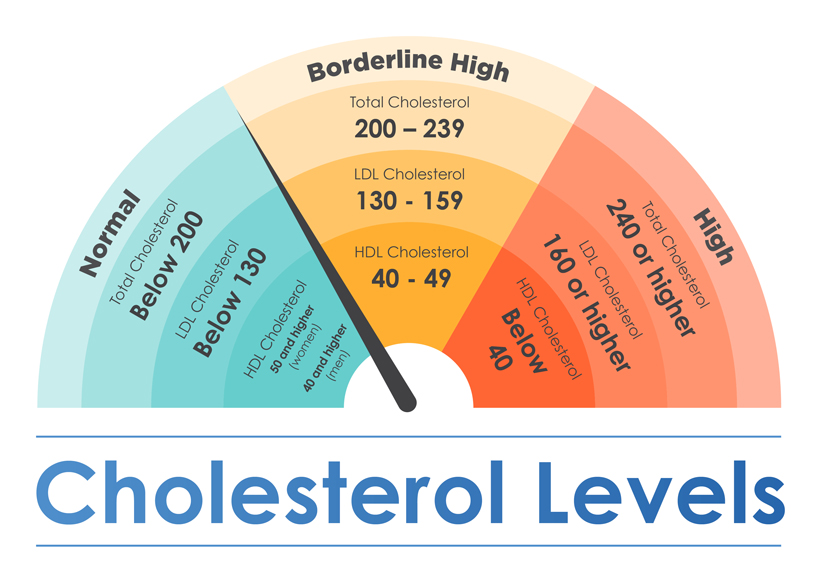 Cholesterol-infographics